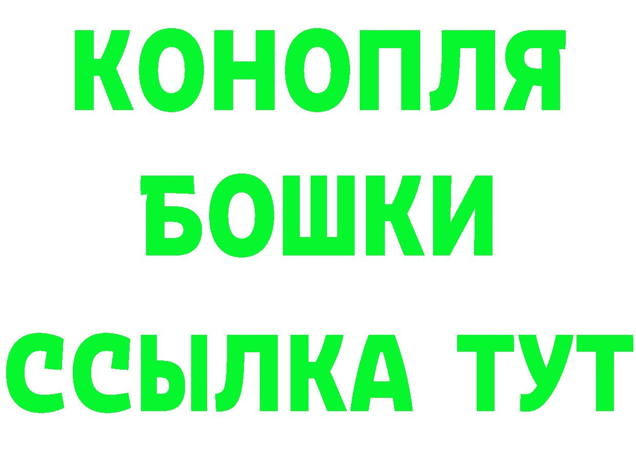 ГАШ Ice-O-Lator вход площадка мега Никольск